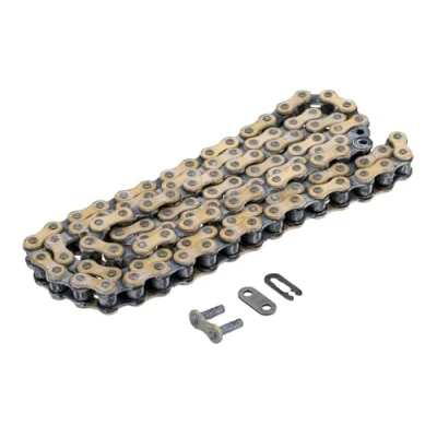 Abbildung von REGINA Chain Rollenkette CHAIN, 110 Glieder