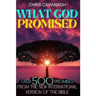 Abbildung von What God Promised: Over 500 Promises From the New International Version of Bible