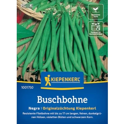 Abbildung von Kiepenkerl Buschbohnensamen Negra 1001750 Gemüsesamen für eine resistente Filetbohne mit bis zu 17 cm langen Hülsen und einem Inhalt 10 lfd. Meter Pflanzen