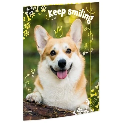 Abbildung von RNKVERLAG Zeichenmappe &quot;Corgi&quot; 320 x 430 mm, für Formate bis DIN A3 mit Gummizugverschluss, 1 Stück