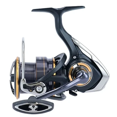 Abbildung von Daiwa Legalis 20 LT 5000 C