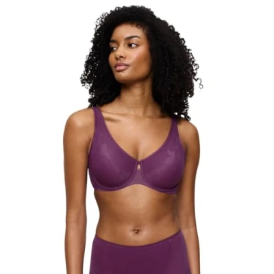 Abbildung von Triumph Wild Rose Sensation W01 Flower Purple