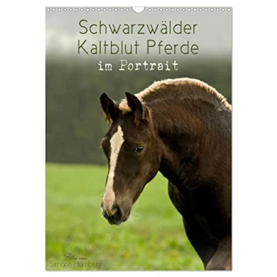 Abbildung von Schwarzwälder Kaltblut Pferde im Portrait (Wandkalender 2025 DIN A3 hoch), CALVENDO Monatskalender