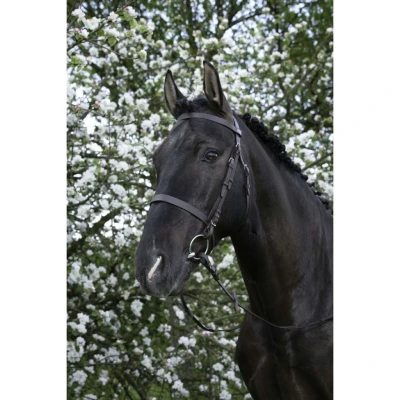 Abbildung von Riding World Trense mit Hohem Nasenriemen Pony