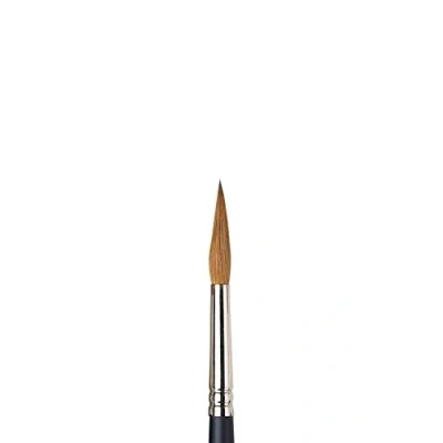Abbildung von Winsor &amp; Newton 5068008 Professional Sable Aquarell Pinsel aus Kolinski Marderhaar für ausgezeichnete Farbtragekapazität, Sprungkraft, Punktgenauigkeit Rund Spitz Nr. 8 4,9mm kurzer Stiel