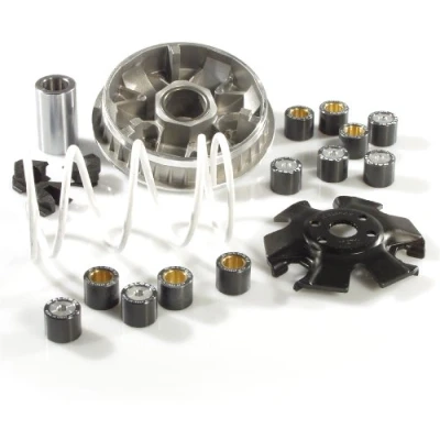 Abbildung von Variator MALOSSI Multivar 2000, für HONDA 100 Bali