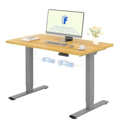 Abbildung von FLEXISPOT Elektrisch Höhenverstellbarer Schreibtisch (120 x 80 cm) Einteilige Tischplatte 2 Fach Teleskop, Sitz &amp; Stehpult mit Memory Steuerung (ahorn, grau Gestell)