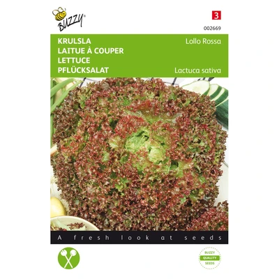 Abbildung von Krauser Salat Lollo Rossa Samen Buzzy