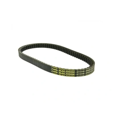 Abbildung von Keilriemen MALOSSI K Belt kompatibel für APRILIA LEONARDO 125 4T LC, SCARABEO LC (ROTAX)