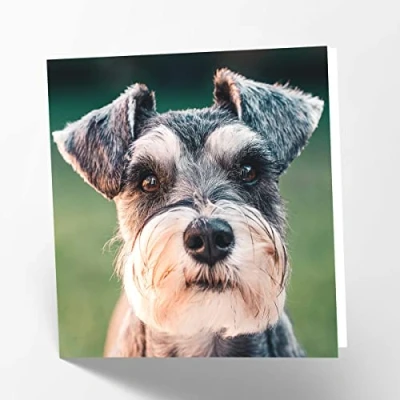 Abbildung von Maturi Blanko Grußkarte mit Schnauzer Motiv