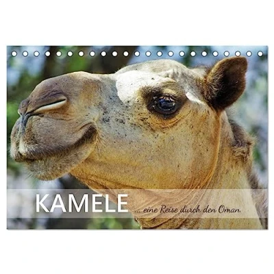 Abbildung von KAMELE... eine Reise durch den Oman. (Tischkalender 2025 DIN A5 quer), CALVENDO Monatskalender