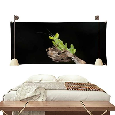 Abbildung von Fensterheberschalter MEAT &amp; DORIA MD26608