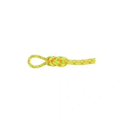 Abbildung von Einfachseil 9.5 Alpine Core Protect Dry Rope halo vibrant orange