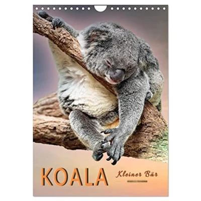 Abbildung von Koala, kleiner Bär (Wandkalender 2025 DIN A4 hoch), CALVENDO Monatskalender