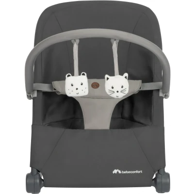 Abbildung von Bebeconfort Aster Babywippe, Tinted Graphite