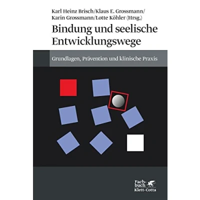 Abbildung von Bindung und seelische Entwicklungswege: Grundlagen, Prävention klinische Praxis