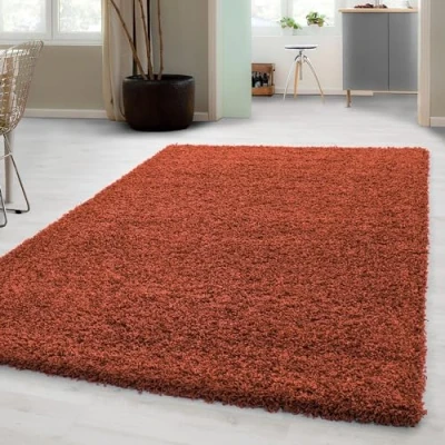 Abbildung von Carpetsale24 Shaggy Hochflor Teppich Wohnzimmer 250x350 (240x340 cm) Terrakotta Modern Flauschiger Extra Weich, Pflegeleicht und Einfarbig für Schlafzimmer, Esszimmer Küche
