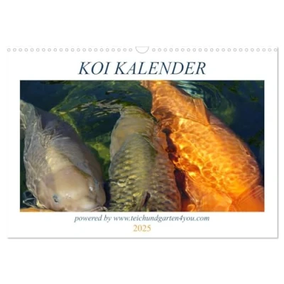 Abbildung von Koikichi Kalender 2025 (Wandkalender DIN A3 quer), CALVENDO Monatskalender