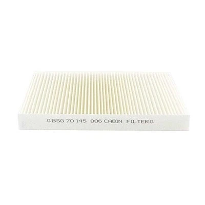 Abbildung von BSG 70 145 003 Innenraumfilter Pollenfilter 286mm 182mm 32mm CITROËN: C3 I Schrägheck, C4 II PEUGEOT: 307 Schrägheck