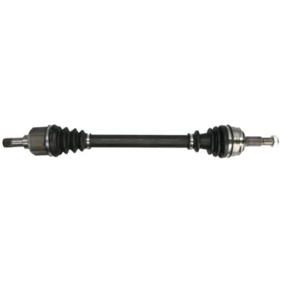 Abbildung von Antriebswelle PASCAL G2C169PC