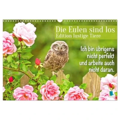 Abbildung von Die Eulen sind los: Edition lustige Tiere (Wandkalender 2025 DIN A3 quer), CALVENDO Monatskalender