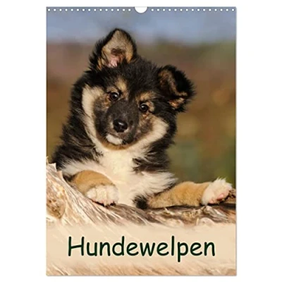 Abbildung von Hundewelpen (Wandkalender 2025 DIN A3 hoch), CALVENDO Monatskalender