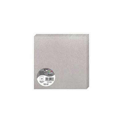 Abbildung von Clairefontaine 22189C Packung mit 25 Doppelkarten Pollen (gefaltet, 16 x cm, 210 g) 1 Pack silber