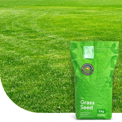 Abbildung von Rasensamen Fast Repair Nachsaat 5 Kilo 250 m2 MRS Seeds &amp; Mixtures