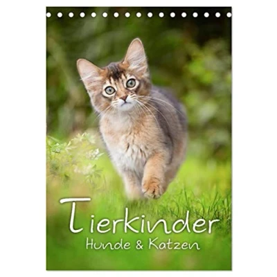 Abbildung von Tierkinder Hunde und Katzen (Tischkalender 2025 DIN A5 hoch), CALVENDO Monatskalender