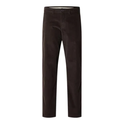 Abbildung von Selected Homme Straight Miles NOOS Chino, Herren, Größe: 32x32, Chocolate torte