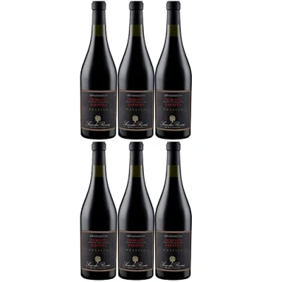 Abbildung von Sartirano Figli Serre dei Roveri Appassimento Piemonte Barbera DOC Rotwein Wein Italien trocken I Visando Paket (6 Flaschen)