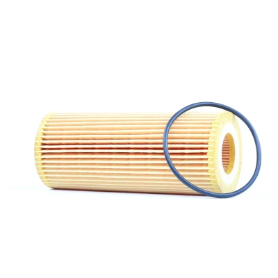 Abbildung von BOSCH 1 457 429 252 Ölfilter mit Dichtung Filtereinsatz BMW: X5, 5 Limousine, Touring