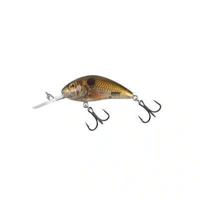 Abbildung von Salmo Rattlin&#039; Hornet 5,5cm 10,5g 2,0 4,0m Floating Pearl Shad Clear Wobbler