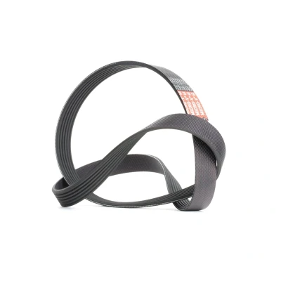 Abbildung von GATES 6PK1218 Keilrippenriemen 1218 6 Polyester, EPDM (Ethylen Propylen Dien Kautschuk) RoadMax Value Line CITROËN: C8, Jumpy II Kastenwagen kfzteile,