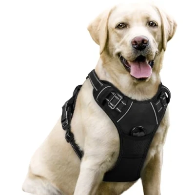 Abbildung von rabbitgoo Hundegeschirr Mittelgroße Hunde, Anti Zug Geschirr mit Kontrolle, No Pull Verstellbar Grosse Atmungsaktiv Reflexstreifen Brustgeschirr Sichere Führung Schwarz L