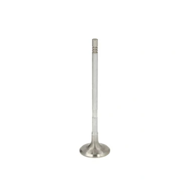 Abbildung von Einlassventil FRECCIA R8009/SCR