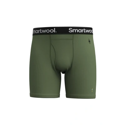 Abbildung von Smartwool Merino Boxer Panties, Herren, Größe: Small, Fern green