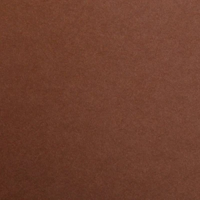 Abbildung von Clairefontaine 97361C Packung (mit 25 Bögen Zeichenpapier Maya, DIN A4, 21 x 29,7 cm, 120g, glatt, ideal für Trockentechnik und Einrahmen) dunkelbraun