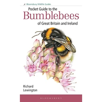 Abbildung von Pocket Guide to the Bumblebees of Great Britain and Ireland (Bloomsbury Wildlife Guides)