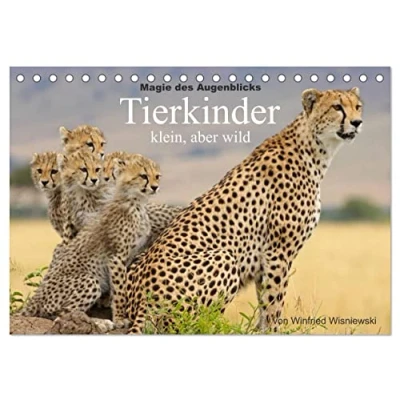 Abbildung von Magie des Augenblicks Tierkinder klein, aber wild (Tischkalender 2025 DIN A5 quer), CALVENDO Monatskalender