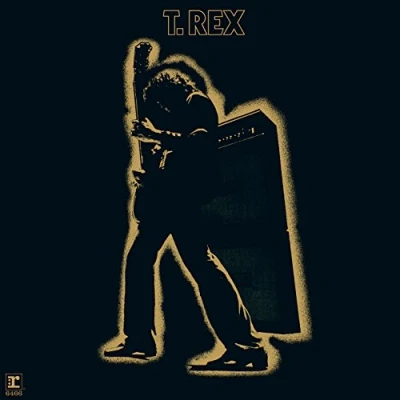 Abbildung von Electric Warrior [Vinyl LP]