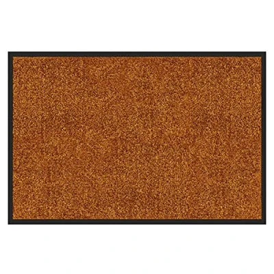 Abbildung von etm Hochwertige Fußmatte schadstoffgeprüft bewährte Eingangsmatte in Gewerbe &amp; Haushalt Schmutzfangmatte mit Top Reinigungswirkung Sauberlaufmatte waschbar rutschfest (120x300 cm, Braun)