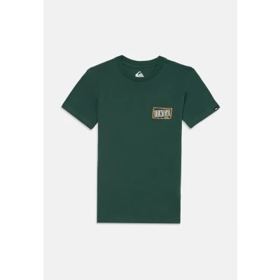 Abbildung von Quiksilver T Shirt, kurzärmlig, EV GOTAM Foam SS Multi 16