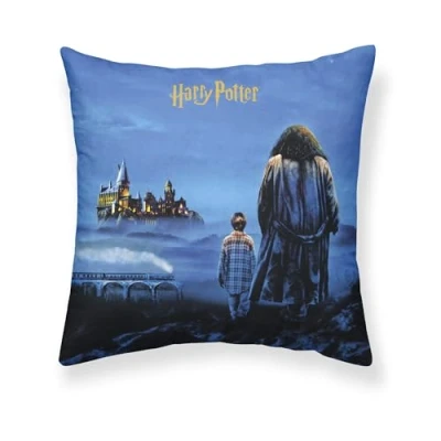 Abbildung von Belum Kissenbezug Harry Potter, Größe: 50 x cm, Modell: Philosopher&#039;s Stone A, Stoff: Half Panama 100% Baumwolle, 250 g.