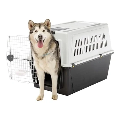 Abbildung von Ferplast Transportbox Atlas Pro Grau Hundetransportbox 101x68.5x75...