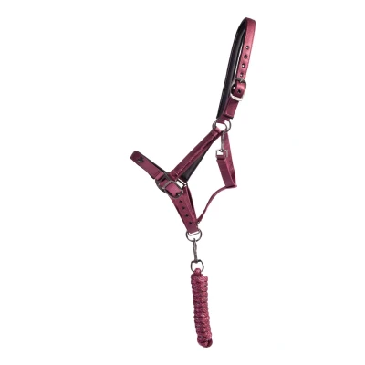 Abbildung von QHP Halsterset Lily