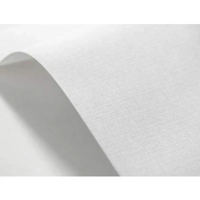 Abbildung von Netuno 100x Präge Karton Weiß Karomuster DIN A4 21 x 29,7 cm 246g Elfenbeinkarton Ultraweiß Bastel strukturiert für Visitenkarten Einladungs Karten Zertifikate Urkunden Diplome