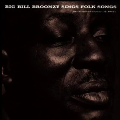 Abbildung von Big Bill Broonzy Sings Folk Songs