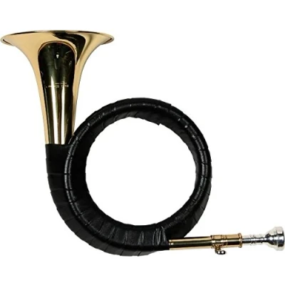 Abbildung von KARL GLASER FÜRST PLESS HORN, Bb, STIMMZUGROHR, TASCHE, JAGDHORN, WALDHORN,