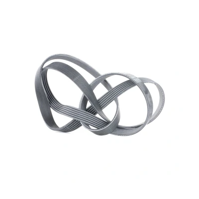 Abbildung von CONTITECH 6PK1705 Keilrippenriemen 1705 6 MERCEDES BENZ: E Klasse Limousine, C Coupe, FORD: FIESTA 5, Fusion Kombi